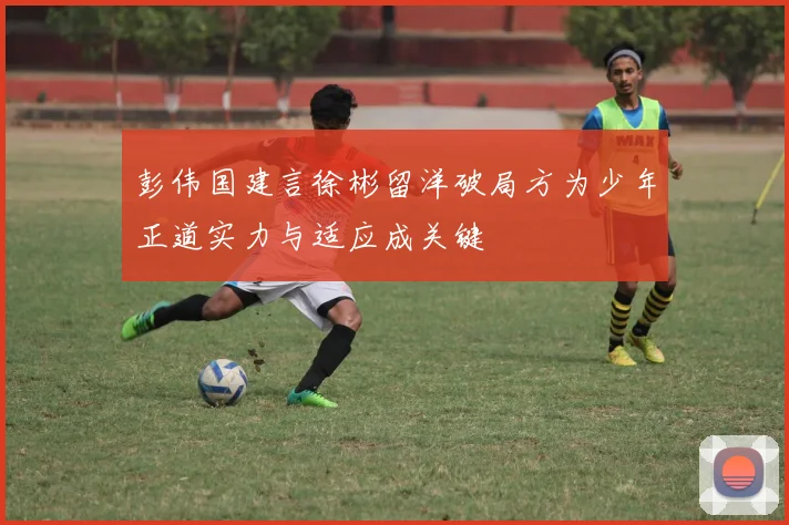 彭伟国建言徐彬留洋破局方为少年正道实力与适应成关键