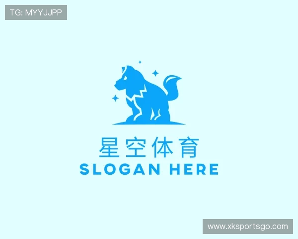 认识XK星空体育